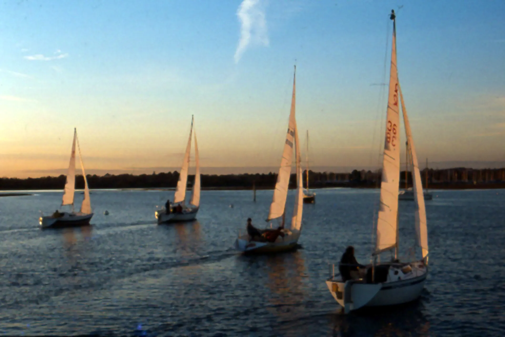 Four yachts on a river with sunlight illuminating the sails